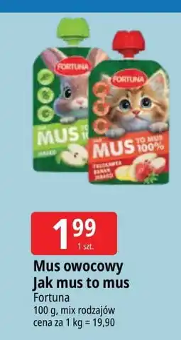 E.Leclerc Mus kiwi-banan-jabłko Fortuna oferta