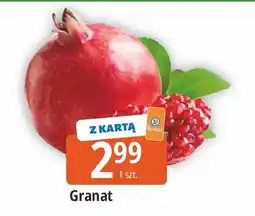 E.Leclerc Granat oferta