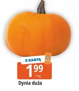 E.Leclerc Dynia oferta