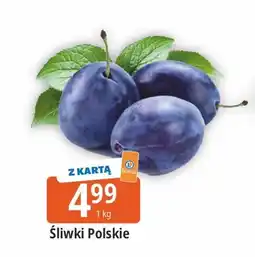 E.Leclerc Śliwki oferta