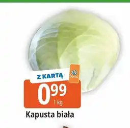 E.Leclerc Kapusta biała oferta