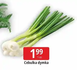 E.Leclerc Cebula dymka oferta
