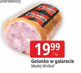 E.Leclerc Golonko w galarecie Madej & Wróbel oferta