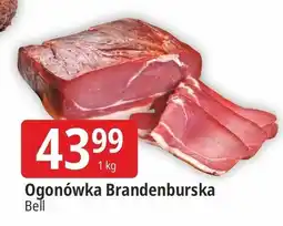 E.Leclerc Ogonówka brandenburska Bell Polska oferta