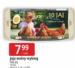 E.Leclerc Jaja z wolnego wybiegu kl. l Top Jaj oferta