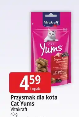 E.Leclerc Przysmak z kurczakiem Vitakraft Cat Yums oferta