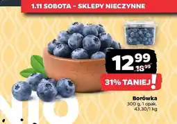 Netto Borówki amerykańskie oferta