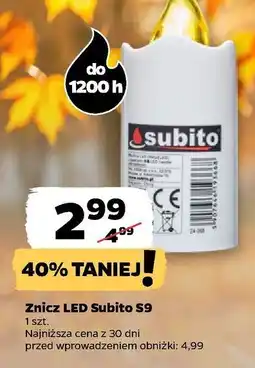 Netto Wkład led s9 50 dni żółty Subito oferta