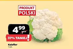 Netto Kalafior oferta