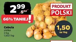 Netto Cebula oferta