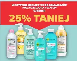 Netto Tonik oczyszczający do skóry problematycznej pure Garnier Skin Naturals oferta