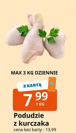 E.Leclerc Podudzie z kurczaka oferta