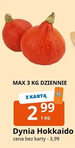 E.Leclerc Dynia hokkaido oferta