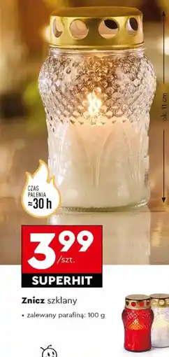 Biedronka Lumia Znicz szklany oferta