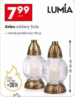 Biedronka Lumia Znicz szklany Kula oferta