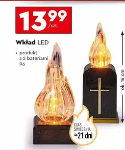 Biedronka Wkład LED oferta