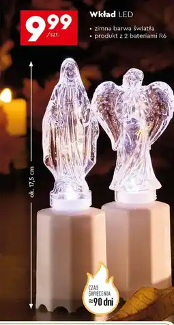Biedronka Wkład LED oferta