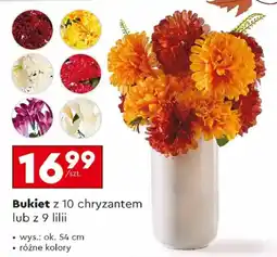 Biedronka Bukiet z 10 chryzantem lub z 9 lilii oferta