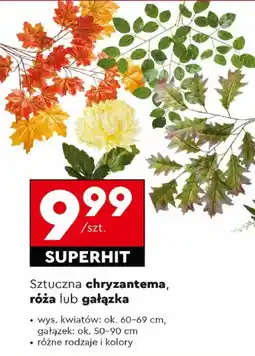 Biedronka Sztuczna chryzantema, róża lub gałązka oferta