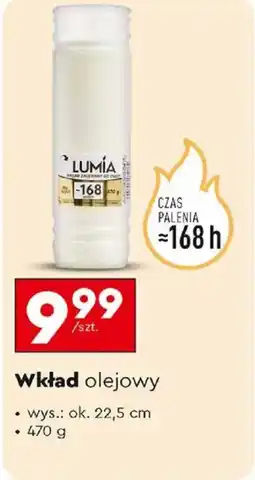 Biedronka Wkład olejowy oferta