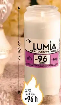 Biedronka Lumia wkład olejowy oferta