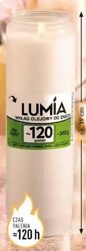 Biedronka Lumia wkład olejowy oferta