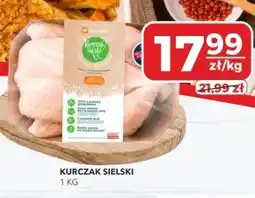 Społem Kurczak Kurczak Sielski oferta