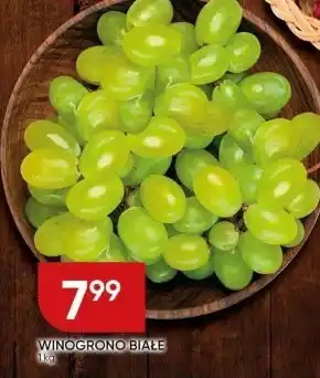 Chata Polska Wino białe Białe oferta
