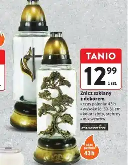 Intermarche Znicz Płomyk oferta