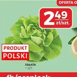 Społem Sałata Polski oferta