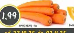 Słoneczko Marchew oferta