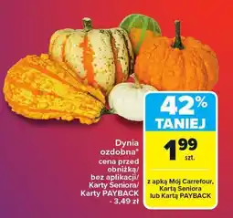 Carrefour Market Dynia ozdobna Carrefour Market oferta