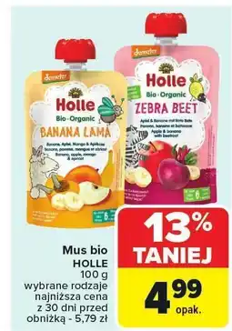 Carrefour Mus bio HOLLE 100g oferta