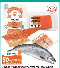E.Leclerc Łosoś norweski patroszony oferta