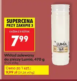 Biedronka Wkład zalewany do zniczy Lumia oferta