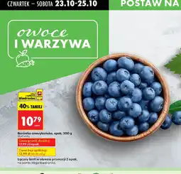 Biedronka Borówka amerykańska oferta
