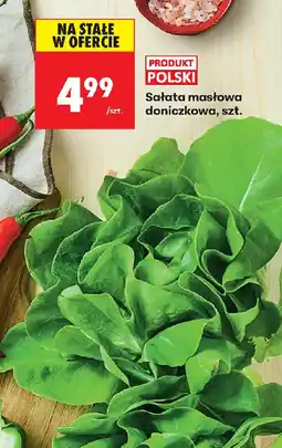 Biedronka Sałata masłowa oferta