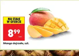 Biedronka Mango oferta