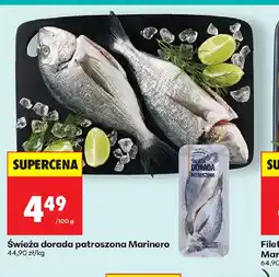 Biedronka Swieża dorada patroszona Marinero oferta