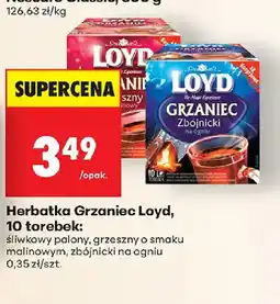 Biedronka Herbatka Grzaniec Loyd oferta