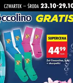 Biedronka Zel Coccolino oferta