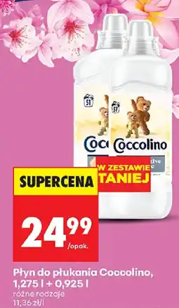 Biedronka Płyn do płukania Coccolino oferta