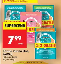 Biedronka Karma Purina One oferta