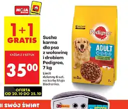 Biedronka Sucha karma dla psa Pedigree oferta