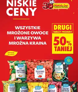 Biedronka Mrożone owoce i warzywa Mroźna Kraina oferta