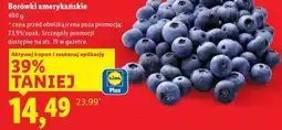 Lidl Borówki amerykańskie oferta
