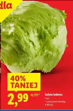 Lidl Sałata lodowa oferta