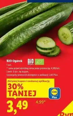 Lidl BIO Ogórek oferta