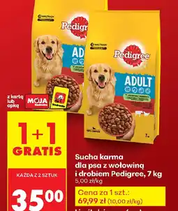 Biedronka Sucha karma dla psa oferta