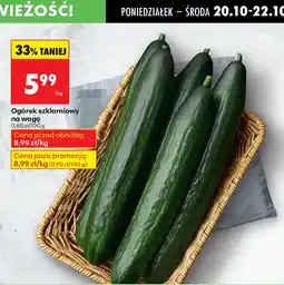 Biedronka Ogórek szklarniowy oferta